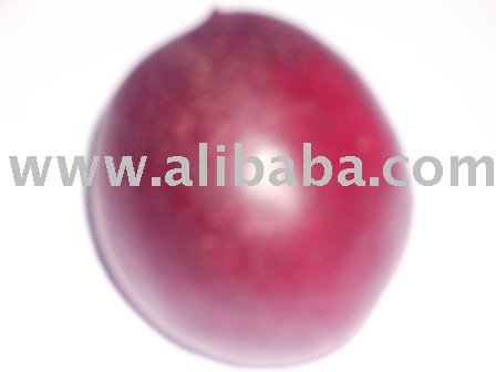 Nectarine