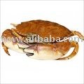  Frozen   whole   crab 