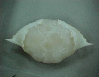 CANNED CRABMEAT