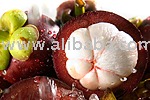 Fresh Mangosteen from Sulu Island, Philippines