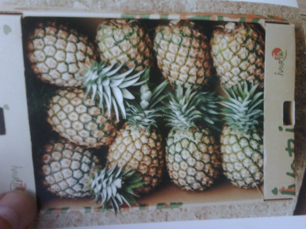 Ananas
