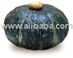 New Zealand Buttercup Squash