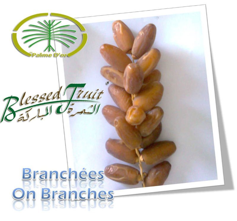 Blessed Fruit Deglet Dates