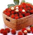 Sell  Fresh   Rambutan   fruit s