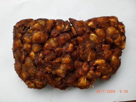 tamarind with seed