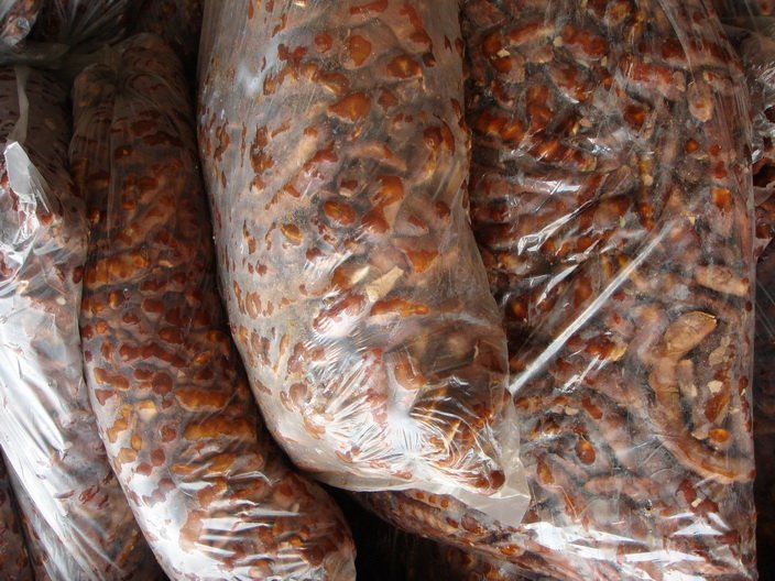 Tamarind with seed