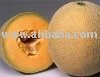  Fruits     Vegetables 