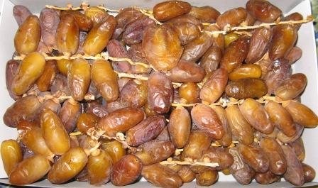 Fresh  Tunisian   Dates 