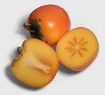 persimmon