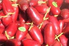 Fresh Red Dates