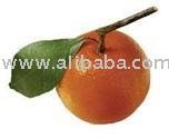 clemantin  MANDARIN