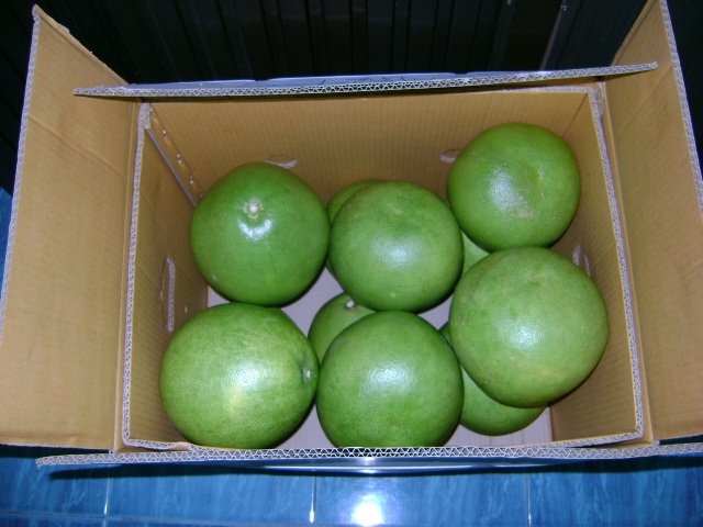 pomelo