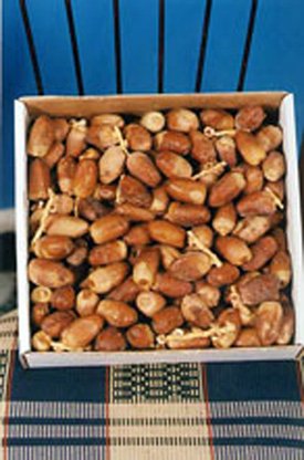 Fresh And Dry Dates