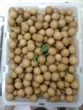 Sell  Fresh   Longan   fruit s/ sell  Fresh   fruit s
