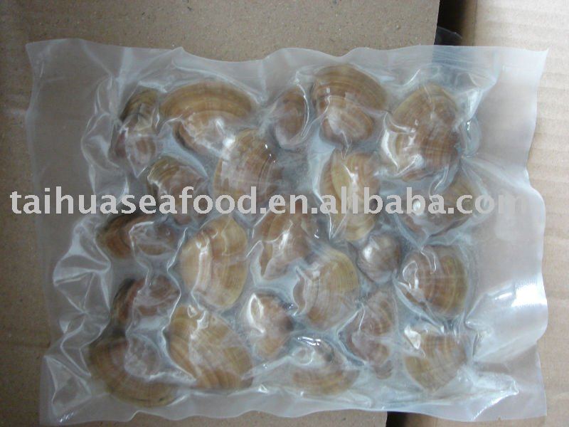 Frozen  Surf Clam