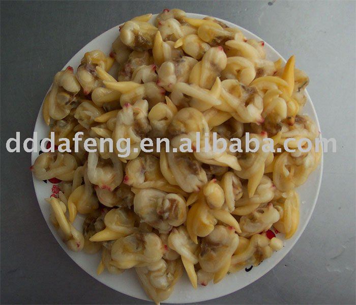 surf clam meat