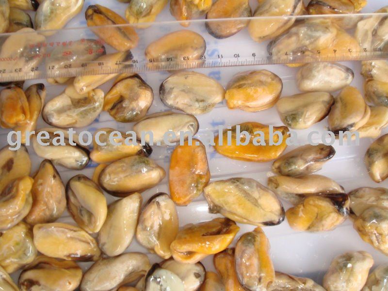 frozen mussel meat