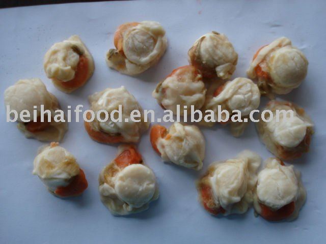 frozen scallop meat with frill(Chlamys farreri )