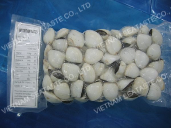 WHITE CLAM ( WHOLE SHELL OR HALF SHELL OR MEAT ) - Meretrix lyrata