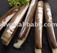 Razor Clams (Solen Spp)