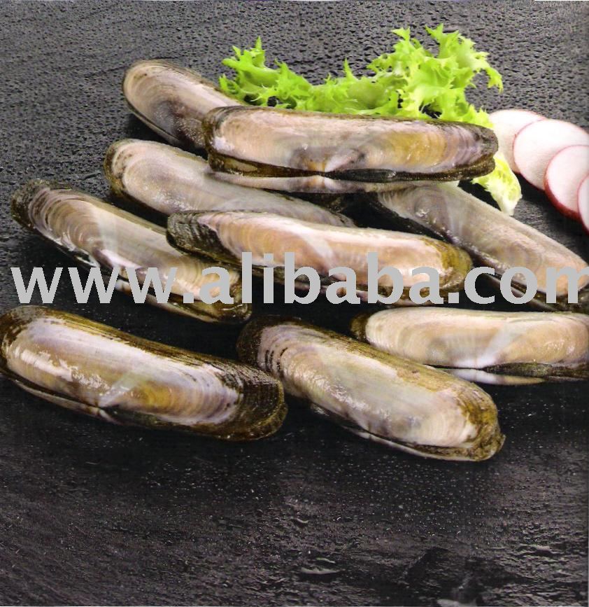 Razor Clams (Ensis Spp)