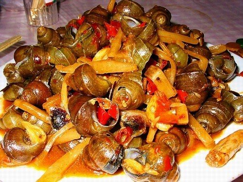 frozen snail meat