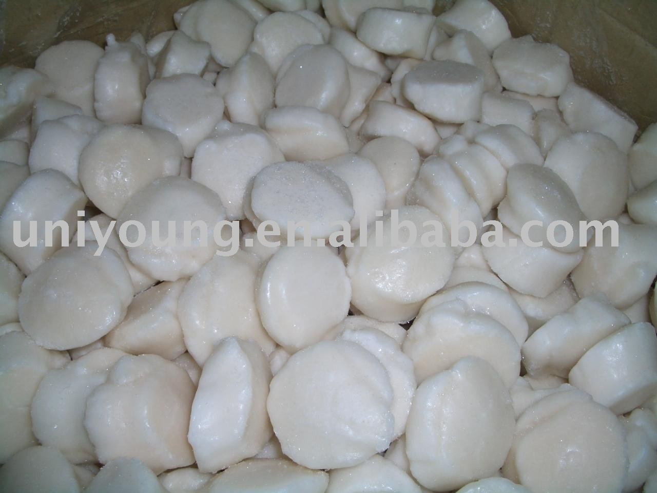 scallop meat