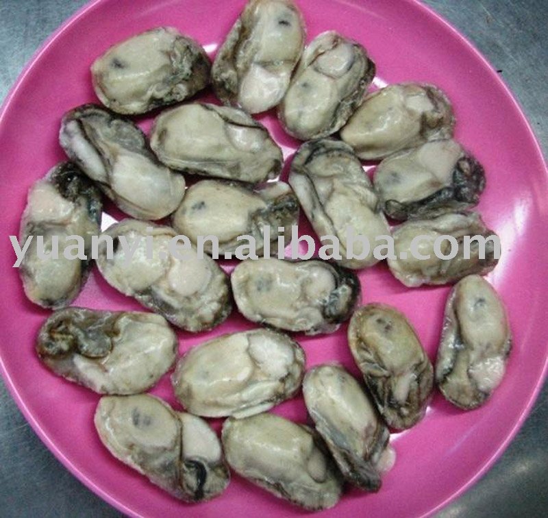 frozen oyster