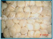 Frozen scallop