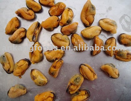cooked IQF mussel meat