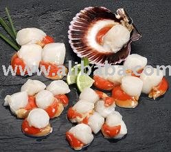 Frozen Scallops (Argopecten Purpuratus)