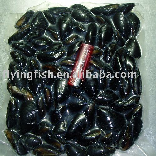 Mussel with shell
