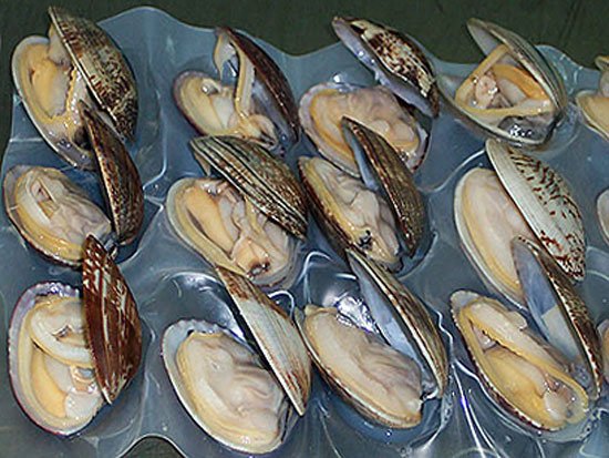 Frozen boiled short-necked clam