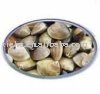 Living  Clam  ( clam )
