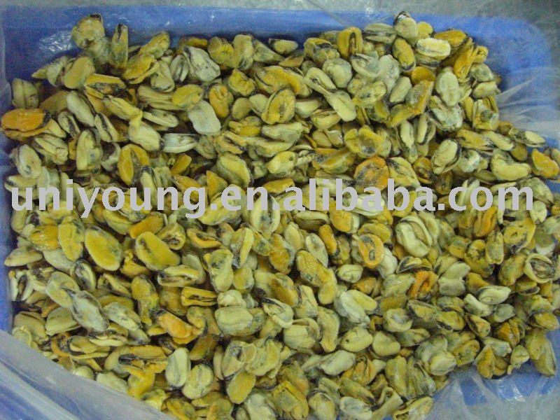 frozen mussel meat