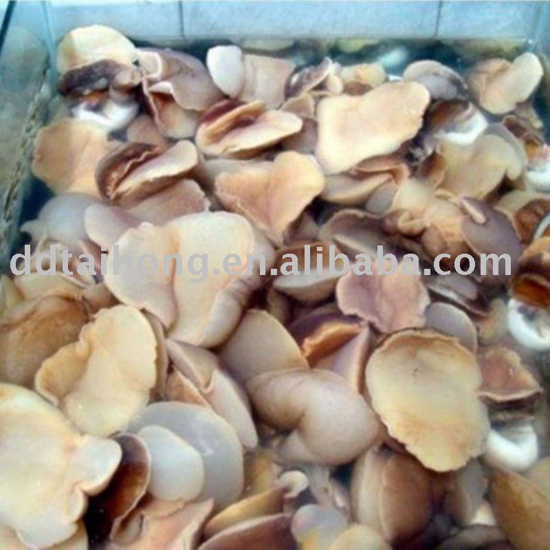 Frozen Boiled Moon Snail Meat