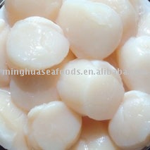 Frozen Sea Scallop Adductor