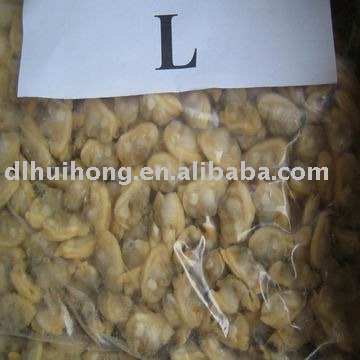 IQF frz boiled short necked clam meat