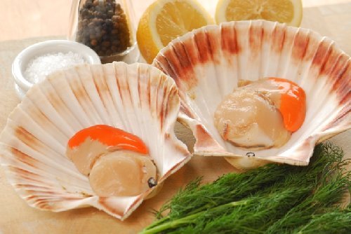  IQF   Scallop s
