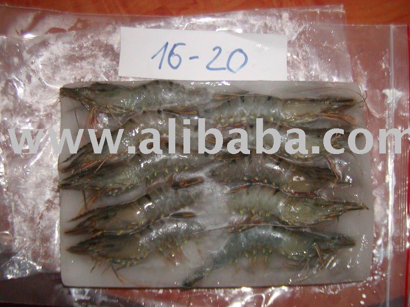 FROZEN BLACK TIGER SHRIMP