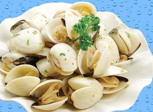 Whole  clam  shell on