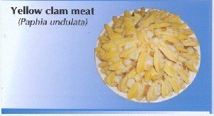 100214 CLAM MEAT