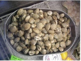 Manilla steamer clams (per pound)
