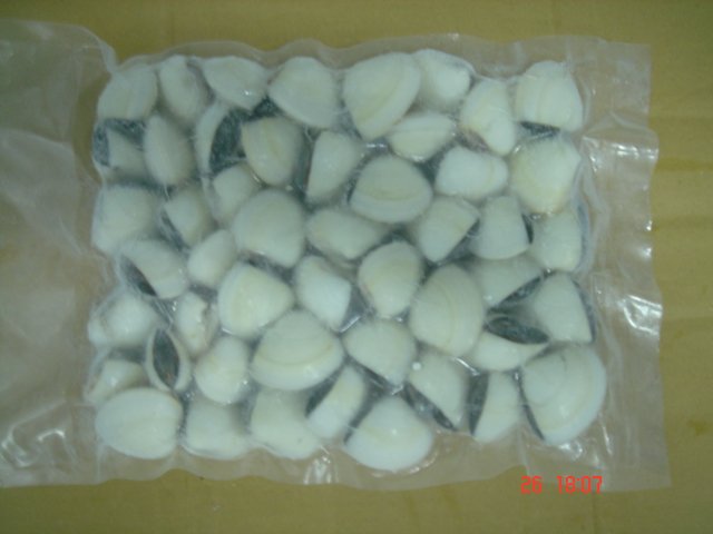 Frozen white clam meat (Latin name : Meretrix Lyrata)