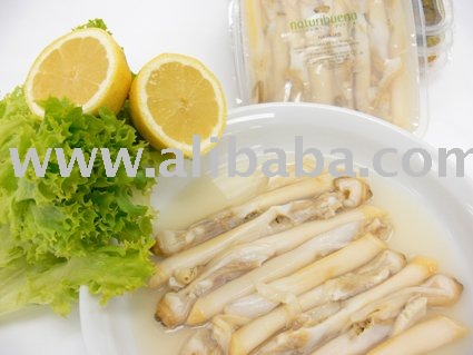  Razor   clam s
