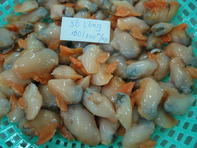 Frozen Ark shell meat