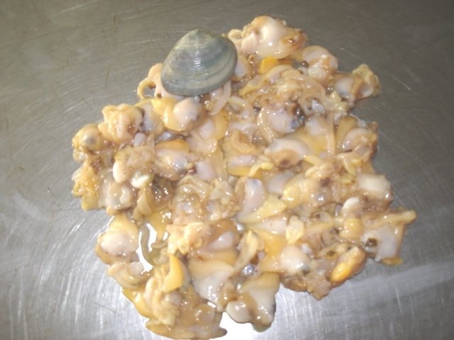 BABY CLAIM WHOLE @ MEAT shellfish