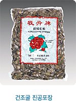 DRIED OYSTER