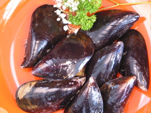 Mussels