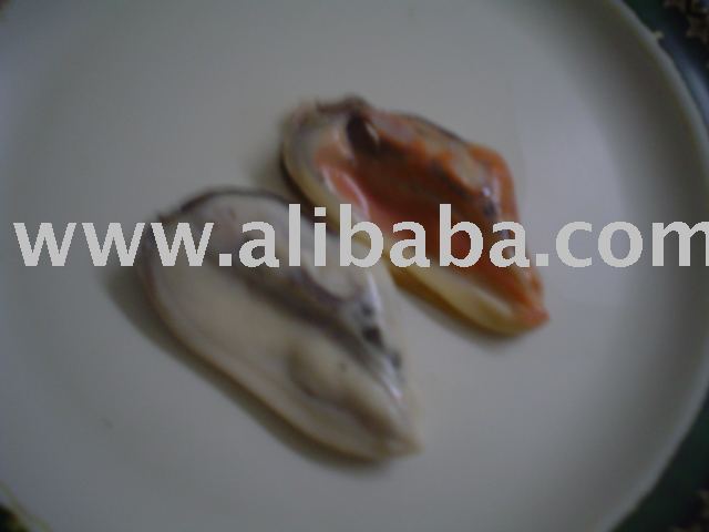 Green Mussels Meat